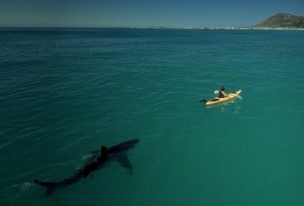 Paddle Faster, South Africa