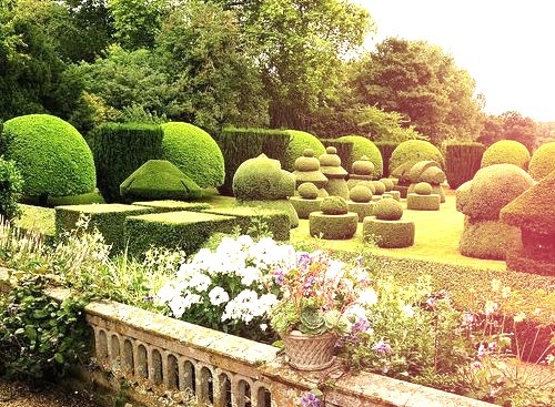 by UltraPanavision on Flickr.The sunken topiary chess garden at Haseley Court in Oxfordshire is one of the most iconic gardens in Britain.