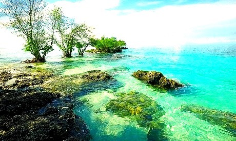 Turquoise Water, Panikian Island, The Philippines