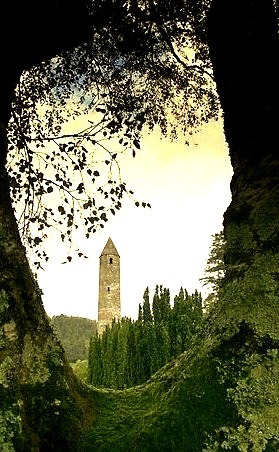 Tree Portal, Glendalough, Ireland