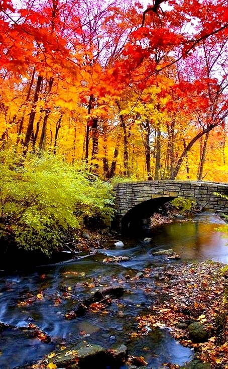 Autumn Bridge, Chicago, Illinois