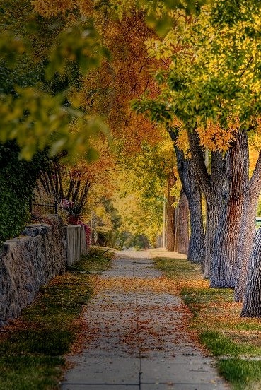 Autumn Sidewalk, Helena, Montana