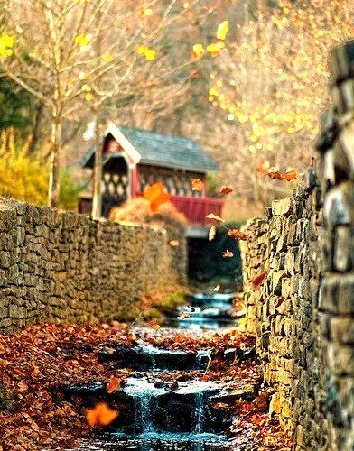Autumn Waterfall, Loretto, Kentucky