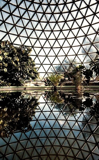 Reflection of the Tropical Dome at Brisbane Botanic Gardens, Australia