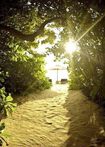 The way to the beach, Park Hyatt, Maldives