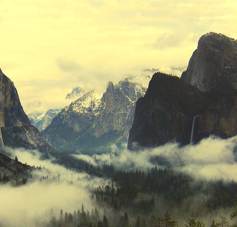 Yosemite National Park, California  kaori