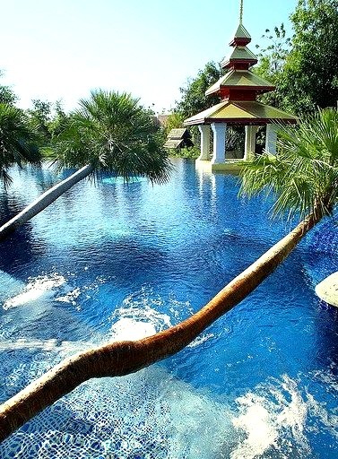 The pool at Mandarin Oriental Resort in Chiang Mai / Thailand