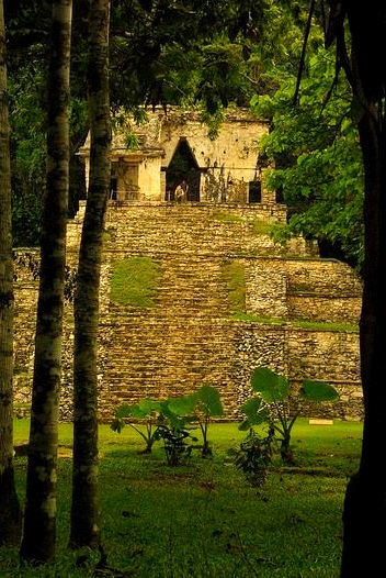 Temple of the Skull, Palenque / Mexico